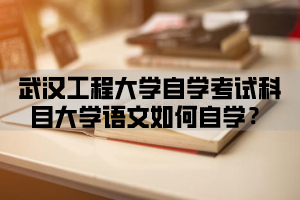 武汉工程大学自学考试科目大学语文如何自学？