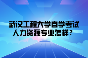 武汉工程大学自学考试人力资源专业怎样？