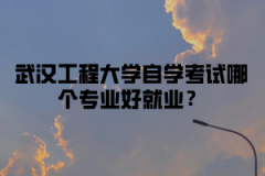 武汉工程大学自学考试哪个专业好就业？