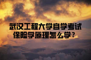 武汉工程大学自学考试保险学原理怎么学？