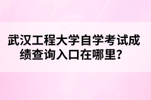 武汉工程大学自学考试成绩查询入口在哪里？