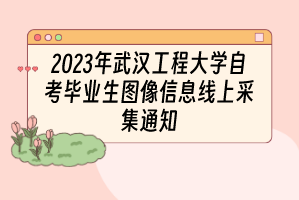 2023年武汉工程大学自考毕业生图像信息线上采集通知